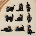 送料無料 9枚セット ワッペン アップリケ ネコ柄 猫柄 黒猫 刺繍ワッペン 刺しゅう 刺繍 裁縫材料 布ワッペン DIY手芸用 アイロン接着可能 汚れや穴隠しに便利 服の補修 楽天海外通販