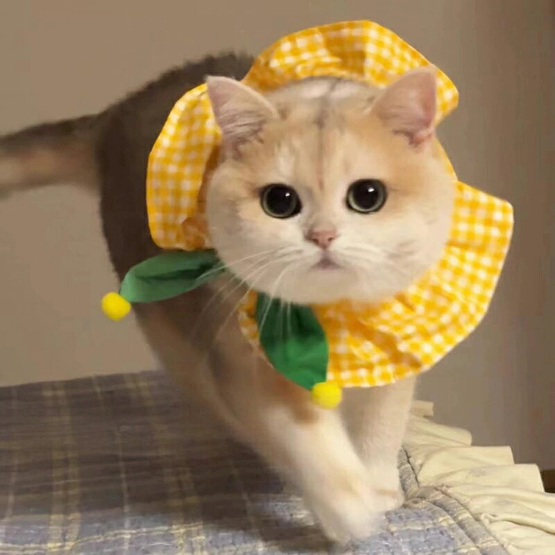 Rakuten - 送料無料 猫用ネックウェア バンダナ スカーフ 猫用よだれスカーフ 猫用よだれかけ チェック リボン ペット用 リボンカジュアル チェック柄 猫 誕生日 ドレススタイル バンダナ ペットフォトプロップス 記念撮影 かわいい カジュアル おしゃれ 楽天海外通販
