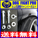 【送料無料】DF新型カム式調整キャンバーボルト★WISHウィッシュ ZNE15G(2)