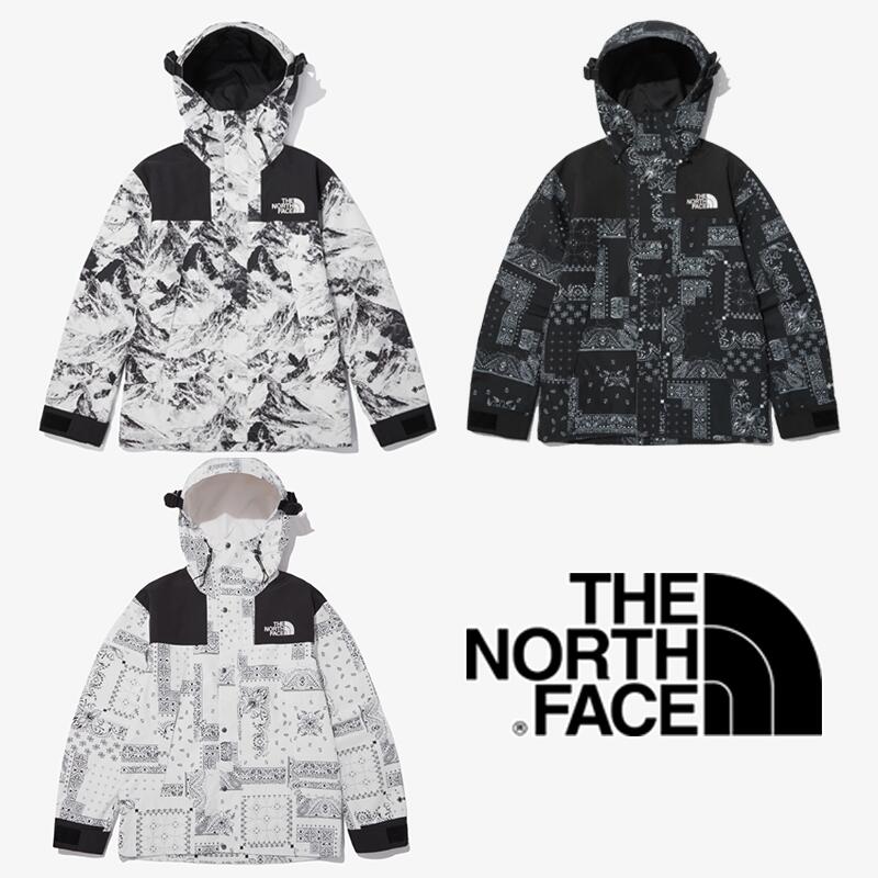 HE SHE 送料無料 【ノースフェイス正規品】THE NORTH FACE NOVELTY ECO GTX MOUNTAIN JACKET 2022FW NJ2GN60 マウンテンジャケット マウンテンパーカー ユニセックス 男子男性メンズ女子女性レディースアウター 防寒ペイズリー 登山 ハイキング ジップアップ フード付き