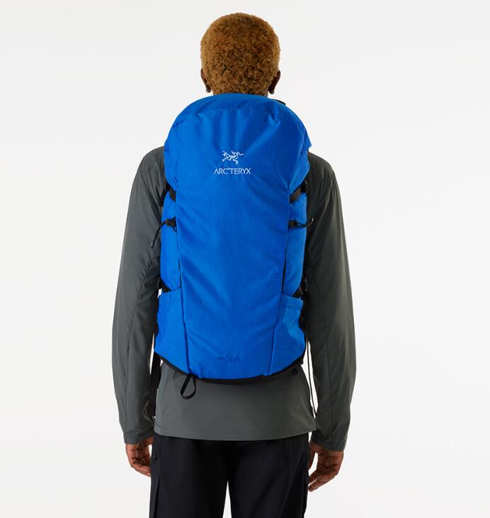 楽天HE＆SHEHE&SHE [送料無料] ARCTERYX 正規品 BRIZE 32 BACKPACK アークテリクスリュック バックパック 人気 大容量 旅行リュック 登山リュック 登山用品 マウンテン ハイキング 山登り アウトドア 防水素材 収納多い 日常 男女兼用 メンズ レディース トレッキング スポーツ 大きい