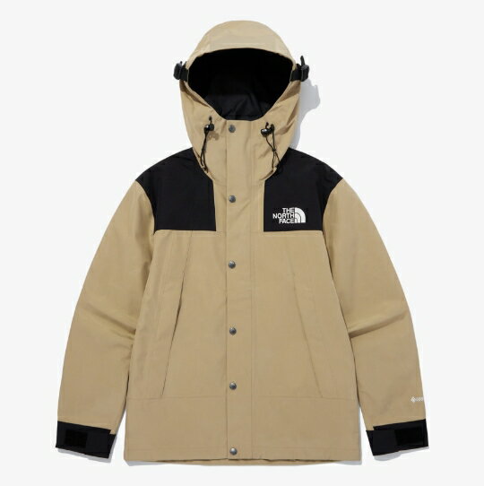 HE&SHE [送料無料] ノースフェイス THE NORTH FACE エコゴアテックスマウンテンジャケット ECO GTX MOUNTAIN JACKET ユニセックス メンズ レディース カジュアル ストリート スポーティ シャケット 季節の変わり目 大人気 NJ2GQ00