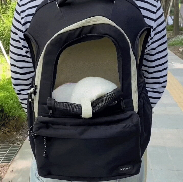 ANDBLANK ����ɥ֥�� HE&SHE������̵���� DAYPACK BACKPACK �ǡ��ѥå��Хå��ѥå� �ڥå����� ������ ���Ф��� ������������꡼�Хå� ǭ���� �ڥåȥ���ꥢ ������ꥢ �ڥåȥ����ƥ� ���å����Хå� �Ф����Хå� �ڹ�֥���
