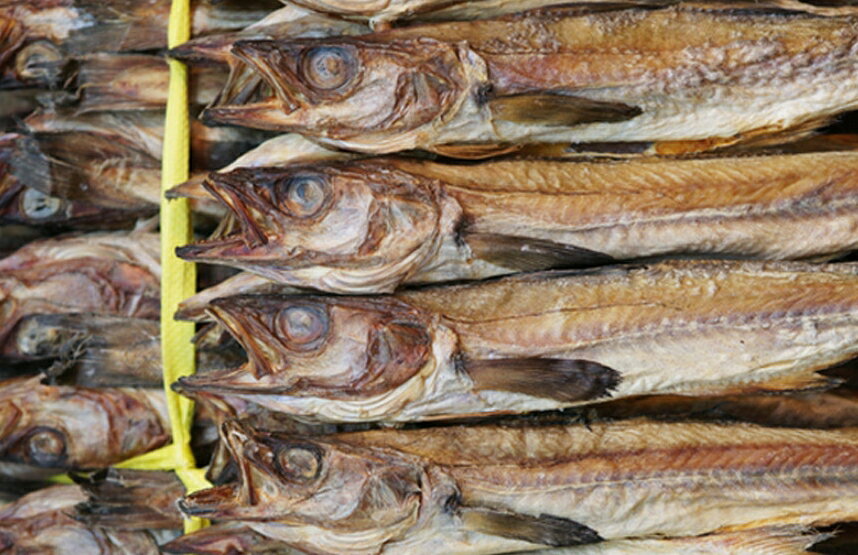 HE&SHE ����̵�� ���������ȥ�����ʴ�� 90g ŷ��Ĵ̣�� Υ���� ����Ĵ̣�� ��Ĵ̣�� �ե�å���ϡ��� FRESH HERB ���� ���� �������������� ñ�츶ʪ