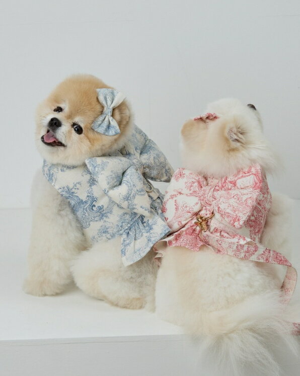 MISS&PET ミス&ペット HE&SHE【送料無料】 FRENCH BIG RIBBON HARNESS フレンチピックリボンハネス ペ..