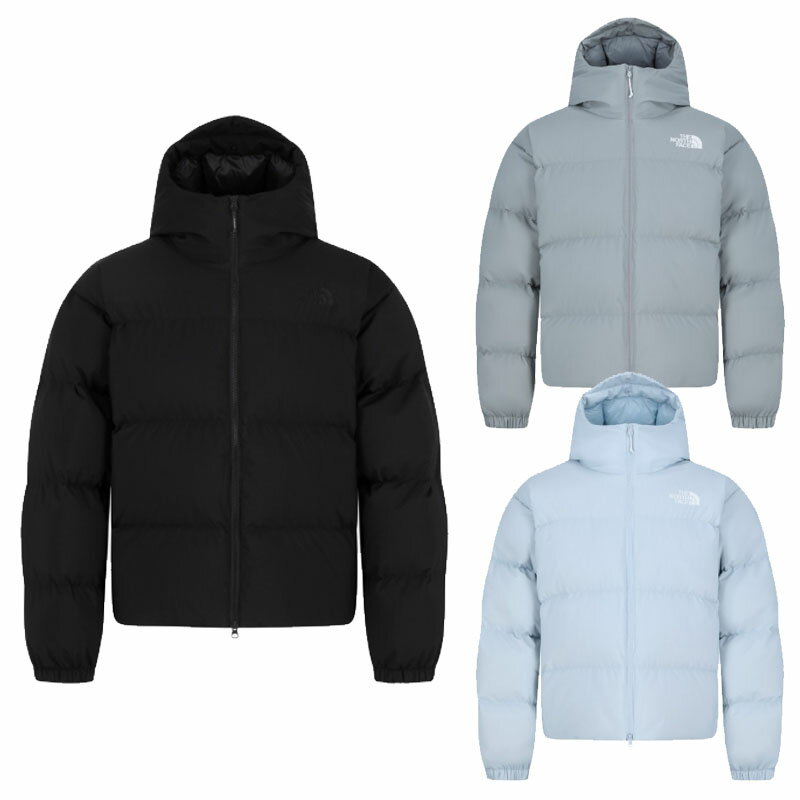 �Ρ����ե����� THE NORTH FACE KOREA �������ʡ� 25FW �ե꡼�ࡼ��RDS�����󥸥㥱�å� FREE MOVE RDS DOWN JAC...