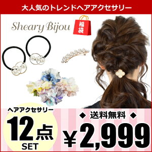 【数量限定】福袋 2022 人気 お得 レディース ヘアアクセサリー12点 HAPPY BAG Hairaccessory ヘアゴム シュシュ クリップ バレッタ カチューシャ ヘアピン かんざし お楽しみ プレゼント 送料無料【コンビニ受取対応】