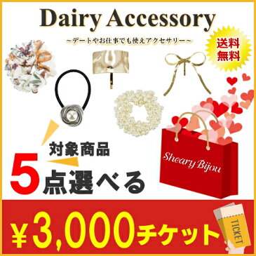 【デイリー5点選べる福袋3000円(+tax)チケット】福袋 2020 送料無料 人気 お得 レディース ヘアアクセサリー デイリー 普段使い ヘアゴム ヘアフック シュシュ シンプル 大人 女性 髪飾り 髪留め 上品 HAPPY BAG