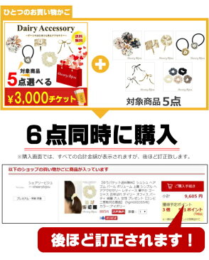 【デイリー5点選べる福袋3000円(+tax)チケット】福袋 2020 送料無料 人気 お得 レディース ヘアアクセサリー デイリー 普段使い ヘアゴム ヘアフック シュシュ シンプル 大人 女性 髪飾り 髪留め 上品 HAPPY BAG