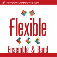 楽譜 広瀬勇人/時の翼(フレキシブル4～5パート+打楽器)(Gr:3:T:約4:00)(FLMS-87176/フレキシブル・アンサンブル/)