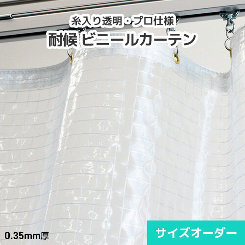  ӥˡ륫ƥ Ʃӥˡ D35H0.35mm [198297cm][201250cm] ɴ...