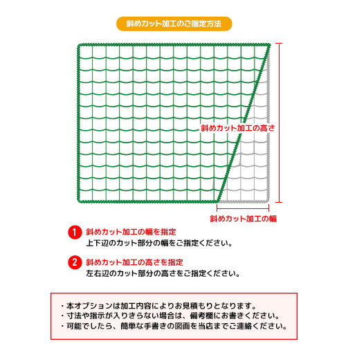 �ڥ��������������ͥå��� �ù����ץ����ۼФᥫ�åȲù� (�����������������Ѳù�)