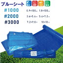 ブルーシート #1000 #2000 #3000 1000番 2000番 3000番 規格3.6M〜100M 薄手 厚手 防水 規格 サイズ ハトメ付 業務用品...