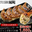 ≪当店最安値に挑戦&本州限定送料無料≫王さんの手包みジャンボ餃子30個(ぎょうざ・ギョーザ)【楽ギフ_のし】
