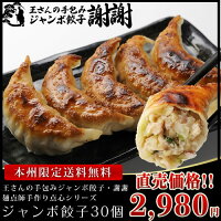 ≪本州限定送料無料≫王さんの手包みジャンボ餃子(ぎょうざ・ギョウザ)30個　中華 ギフト 生餃子