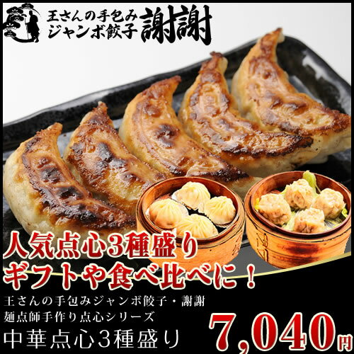 ≪本州限定送料無料≫中華点心3種盛り(手包みジャンボ餃子30個+手包み小籠包20個+手包み焼売20個)【点心 セット】【楽ギフ_のし】