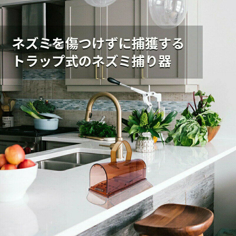 【楽天スーパーSALE】ネズミ捕獲器 2個セット ねずみ捕獲器 ネズミ取り ネズミ捕り...