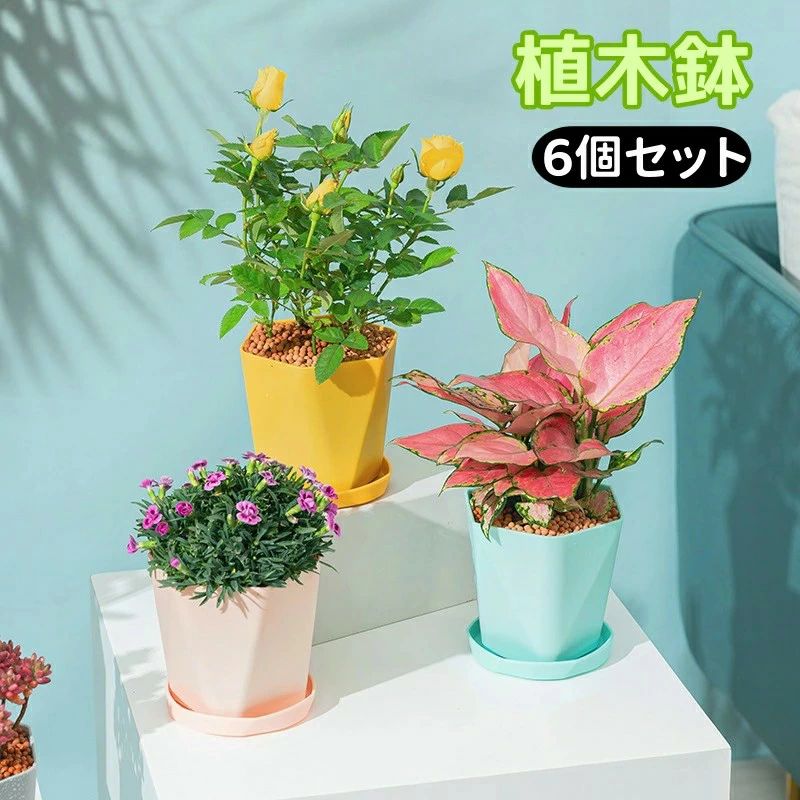 【楽天スーパーSALE】【6個セット】植木鉢 プラスチック おしゃれ 鉢 樹脂 小型 鉢...