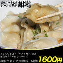 王さんの手包み鶏肉とえのき茸水餃子50個【同梱専用】【お得な中華】【ぎょうざ・ギョーザ・王さん】