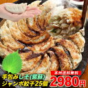 ≪本州限定送料無料≫手包みジャンボ紫蘇(しそ)餃子25個【お得な中華】【ぎょうざ・ギョーザ・王さん】【生餃子】