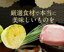 ≪本州限定送料無料≫ダブル餃子セット♪王さんの手包みジャンボ餃子20個+ミニ餃子20個セット　中華 ギフト 生餃子 ぎょうざ ギョウザ 3