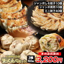 ≪本州限定送料無料≫|中華点心3種60個入り|手作りしそジャンポン餃子10個+ジャンボ焼売10個+ミニ餃子40個|応援セット|本場中華|国産素材|冷凍食品|家庭...