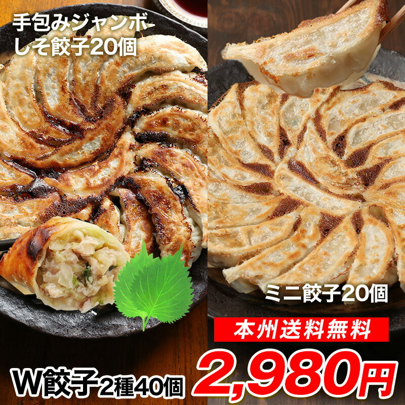 ≪本州限定送料無料≫ダブル餃子セット♪王さんの手包みジャンボしそ餃子20個+ミニ餃子20個セット　中華 ギフト 生餃子 ぎょうざ ギョウザ