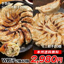 ≪本州限定送料無料≫ダブル餃子セット♪王さんの手包みジャンボ餃子20個+ミニ餃子20個セット　中華 ギフト 生餃子 ぎょうざ ギョウザ