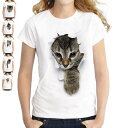 【大人気】Tシャツ レディース 夏 夏服 tシャツ 半袖 猫柄 ネコ 薄手 クルーネック トップス 無地 シンプル 大きいサイズ 肌触りいい 柔らかい 大人可愛...