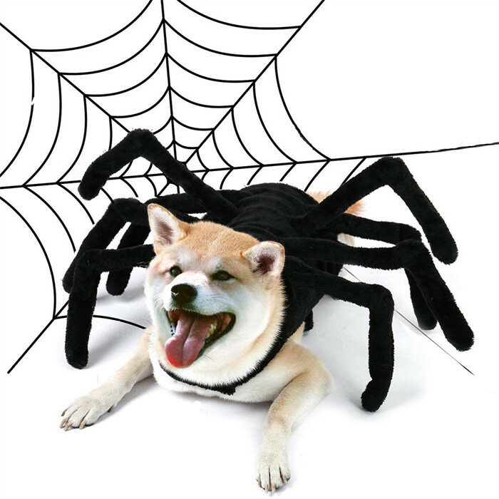 ペット服 ペットウェア ハロウィン 蜘蛛 クモ ペット用コスプレ 全5サイズ マジクタイプ 着ぐるみ 犬猫ハット 着脱簡単 可愛い おもしろ ドッグウェア 着せ替え 変身グッズ ペット用品 パーティー SNS映え 小型犬 中型犬 大型犬 コスチューム ペットコスチュームのサムネイル