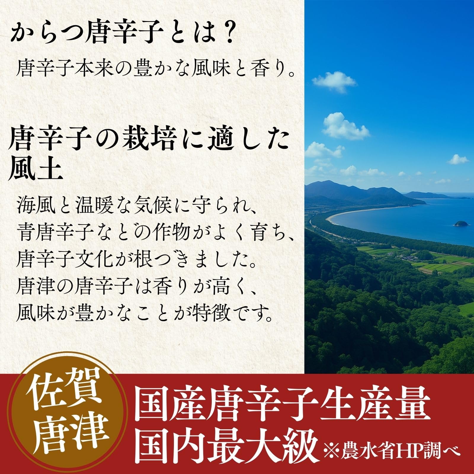 �񻺥ϥХͥ���̣��ɻ� ����� �ڴ��������Ż��ϥХͥ�100��� ��2�ܥ��å�/3�ܥ��åȡ� �� ̵ź�� ��̣��ɻ� �ϥХͥ��ѥ����� �ϥХͥ� ��ɥ��ѥ��� ��������� �ɤ� ��� �Ȥ����餷ʴ��ɻ�ʴ ��Ȭ��Ź