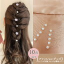 ヘアピン パール ヘアアクセサリー レディース パールヘアピン10点セット ヘアアクセ まとめ髪 ヘアアレンジ ワンポイント トレンド シンプル 可愛い 大人 ...