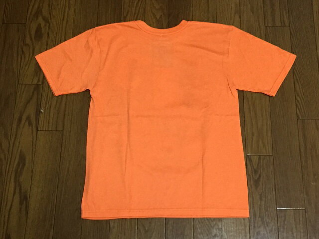 ☆USA直輸入品 フィニアスとファーブ BOY...の紹介画像3