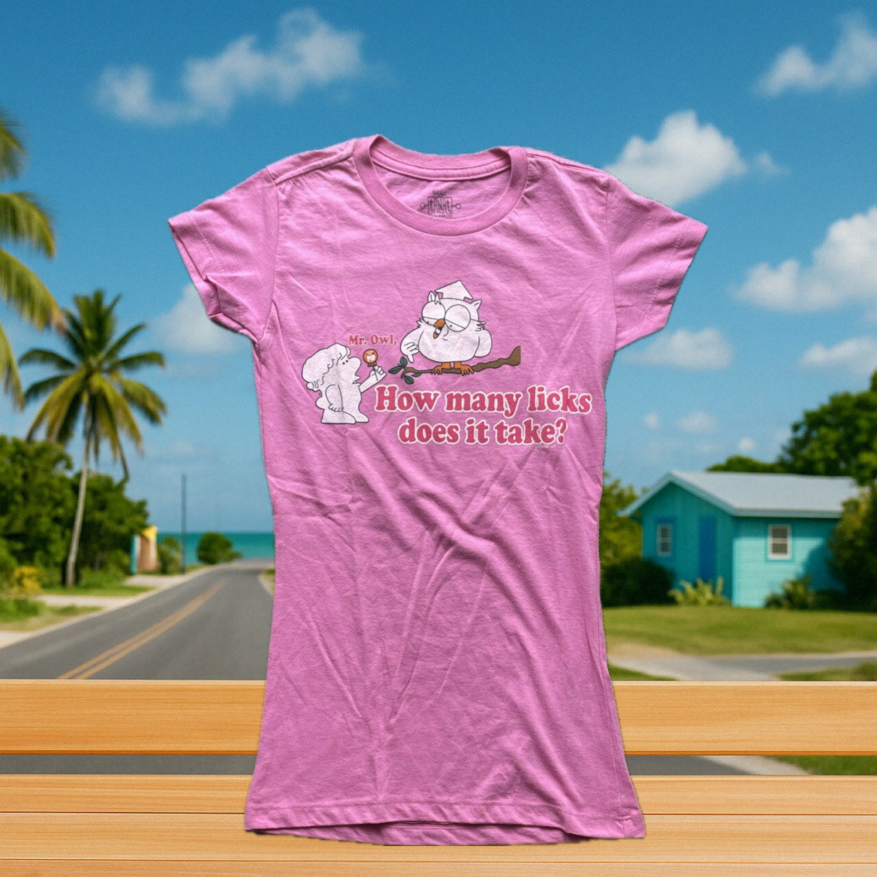 ☆USA直輸入品 ミスターオウル レディースTシャツ☆