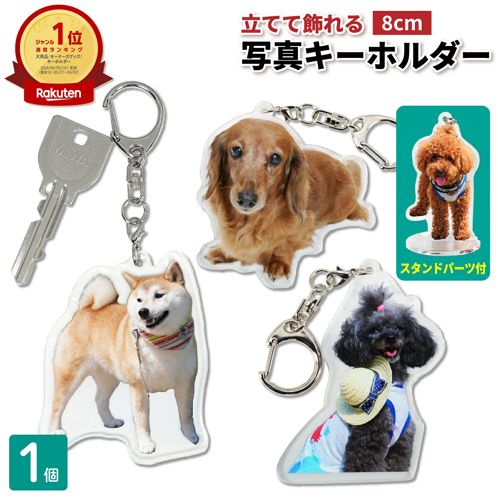 BBロゴエナメルミニチャーム バディベルト BUDDY BELT BUDDYBELT 犬 犬用 ペット ドッグ バディーベルト正規輸入代理店 正規店 BB Logo Enamel Charm