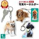 【ふるさと納税】【どこでも一緒 オーダーメイド】 径3.5cm ペットのキーホルダー 佐賀県/杉彫[41AGCT001]