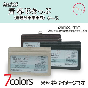 たとえば青春18きっぷケース