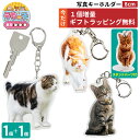 Catブリード　リボン　カーマグネット【スコティッシュフォールド】 【猫雑貨・猫グッズ】