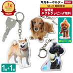 【4/24 20時～4/27 9:59限定 1個増量】 写真 8cm キーホルダー 1個 犬 ラッピング 立てられるキーホルダー アクリルスタンド うちの子最高 キーホルダー アクリルキーホルダー 記念品 メモリアルグッズ ペット・ペットグッズ 犬用品 オーナーズグッズ メモリアルグッズ 2P