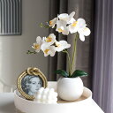 WillingYou 造花 胡蝶蘭 1個セット インテリア ブーケ 花材 フラワーアレンジメント 北欧スタイル 人工観葉植物 現代 シンプル ホテル オフィス 店舗 家の装飾 母の日 プレゼント ギフト そのまま飾れる単品花材