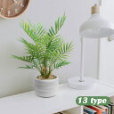「レビュー特典あり」フェイクグリーン 卓上 ミニ 観葉植物 フェイク 1/3/4点セット 陶器 鉢付き 人工観葉植物 おしゃれ インテリア雑貨 消臭 抗菌効果 ...