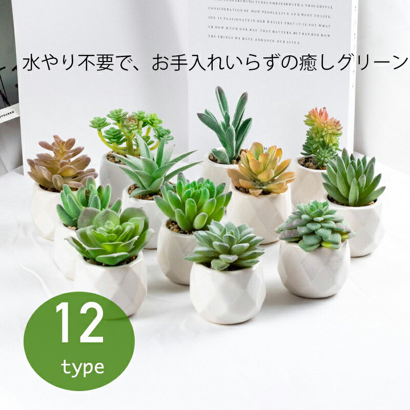 フェイクグリーン 観葉植物 フェイク 人工観葉植物 12種類 多肉植物 造花 光触媒 ミニ 鉢植え 1個セット インテリア ミニ盆栽 グリーン 卓上 雑貨 小さい 玄関 卓上 テーブルデコレーション お世話不要 プレゼント ギフト 全12種類のサムネイル