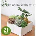 「送料無料」フェイクグリーン 観葉植物 フェイク 人工観葉植物 21種類 多肉植物 サボテン 造花 光触媒 ミニ 鉢植え 1個セット インテリア ミニ盆栽 グリ...