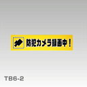 【防犯ステッカー】蓄光 アクリル板「防犯カメラ録画中!」横型...