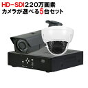 録画映像が劣化しないデジタルハイビジョンカメラ HD-SDI 2〜4TB HD-SDI フルハイビジョン 8ch 録画機 高画質 防雨 赤外線 暗視　監視カメラ 高性能 家庭用 防犯カメラセット 監視カメラセット DVRSET-HD025 【送料無料】