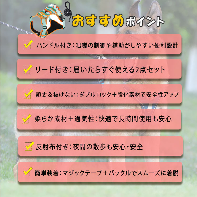 【最大20％OFFクーポン】 お買い得 リードセット 犬 ハーネス 胴輪 小型犬 中型犬 ...
