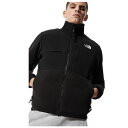 ノースフェイス メンズ デナリ2 ジャケットフリース アウター ボアコート ブラック暖かい 冬 防寒 カジュアルTHE NORTH FACE MENS DENARI2 JACKETNF0A4QYJ TNF BLACK JK3