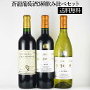 【送料無料】蒼龍葡萄酒 品種別3種飲み比べセット