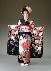 https://thumbnail.image.rakuten.co.jp/@0_mall/shiawaserental/cabinet/furisode/248i.jpg