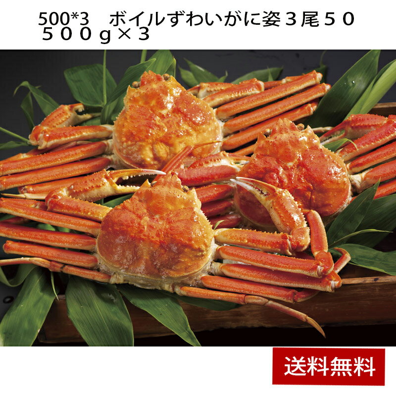 【ポイント5倍/能登半島地震応援企画】500*3ボイルずわいがに姿3尾50　500g×3【F4286_03】【00SF00】北の極寒の海で育った繊細で繊維質豊富な弾力のある身を持つずわいがに。【メーカー直送】【送料無料】【クール便】【離島不可】